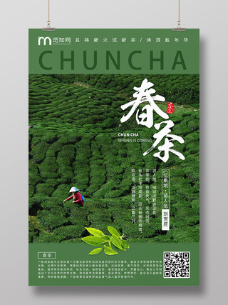 茶叶绿色实景春茶海报